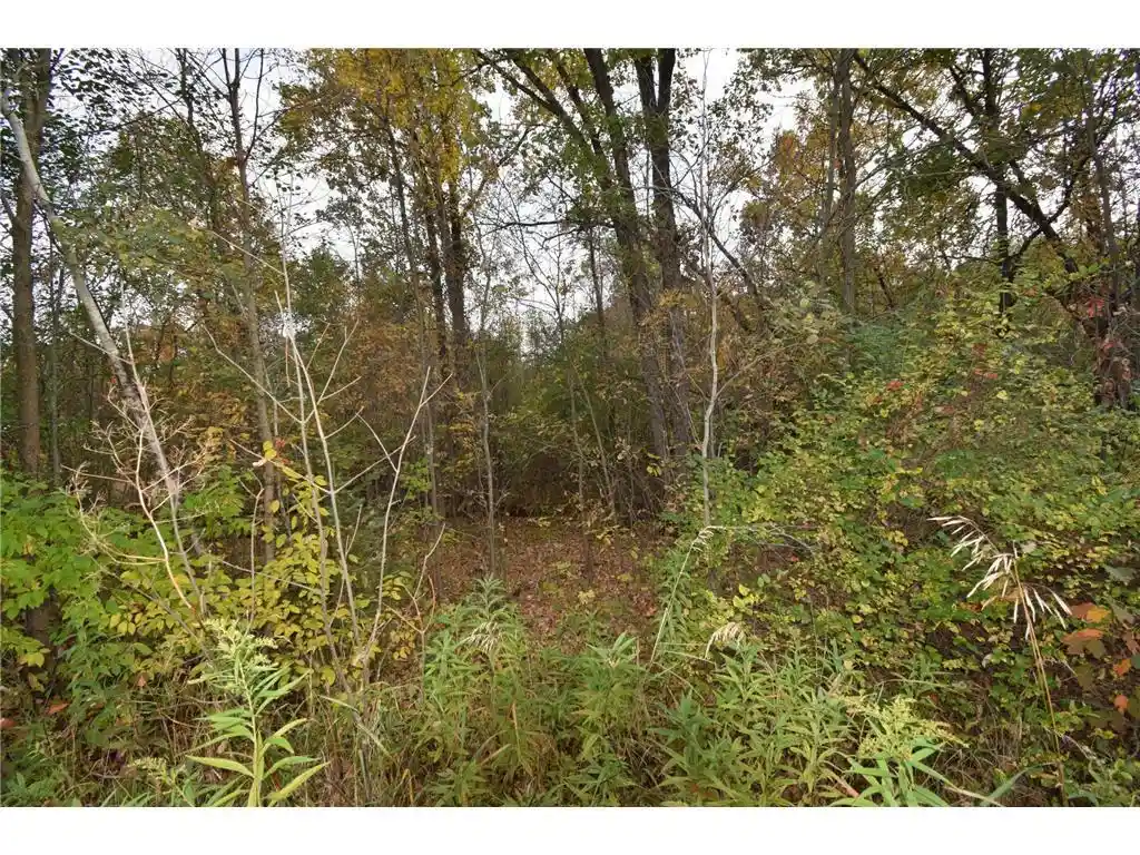 Photo 2 of Land for sale at Lots N 1 8 Ctr St, Danbury, WI 54830 | MLS# 7156049 | Listing updated on 2026-10-06