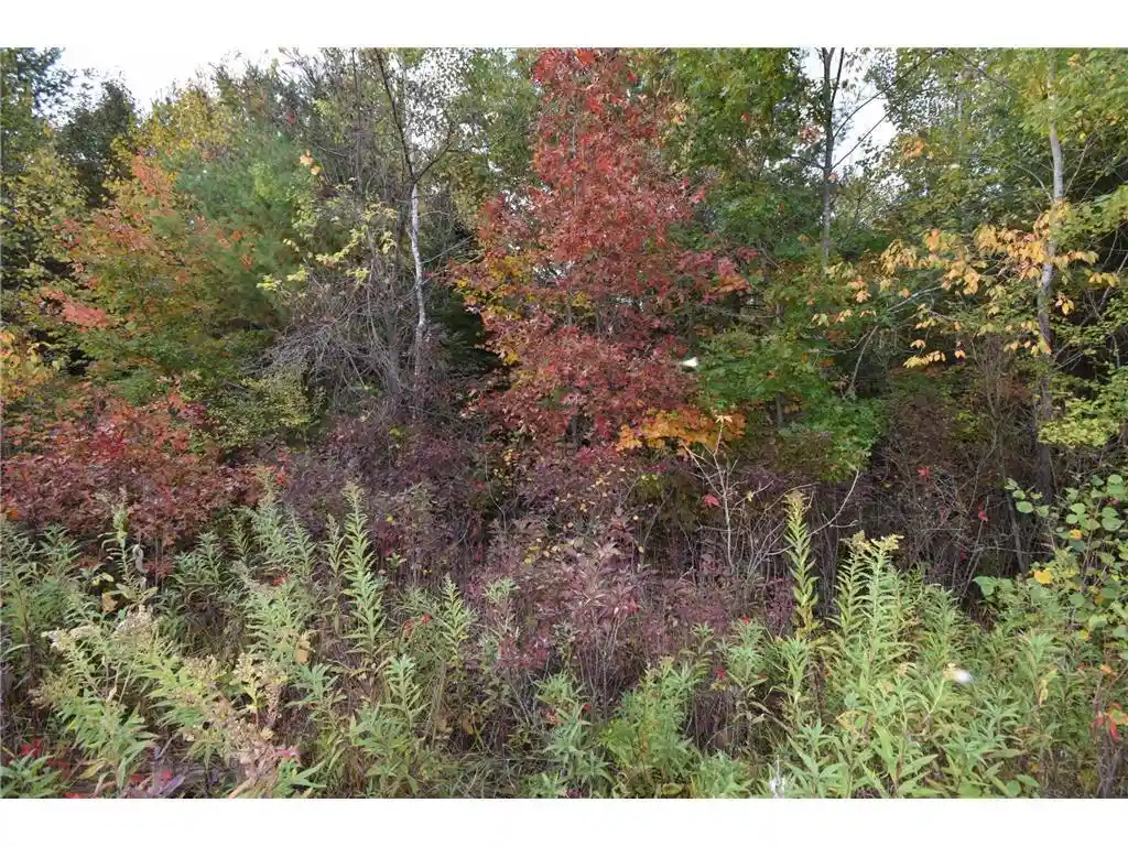 Photo 3 of Land for sale at Lots S 5 7 1st Ave, Danbury, WI 54830 | MLS# 7156093 | Listing updated on 2026-10-06