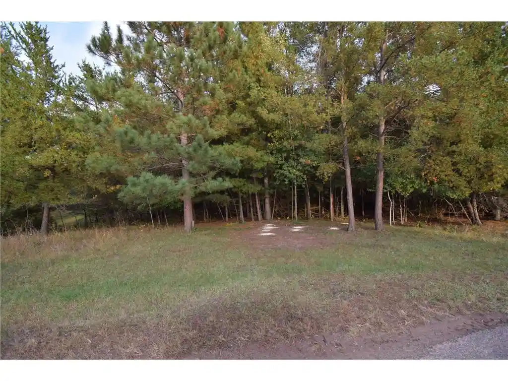 Photo 3 of Land for sale at Lots S 5-7 1st Ave, Danbury, WI 54830 | MLS# 7156093 | Listing updated on 2026-10-06