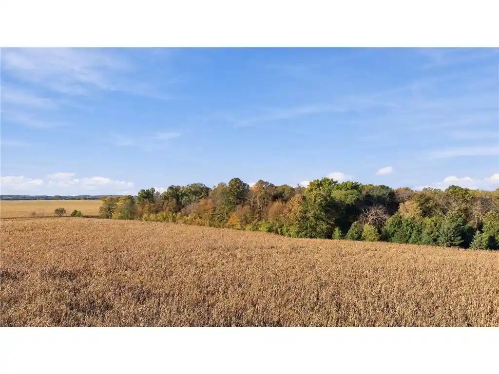 Photo 4 of Land for sale at Tbd Cty Rd Y, Baldwin, WI 54002 | MLS# 7155659 | Listing updated on 2026-10-07
