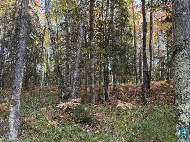 Land for sale at Xxx Brule River Rd, Brule, WI 54820 | MLS# 6128368