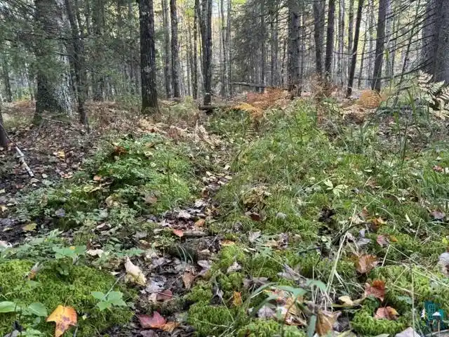 Photo 3 of Land for sale at Xxx Brule River Rd, Brule, WI 54820 | MLS# 6128368 | Listing updated on 2026-10-07