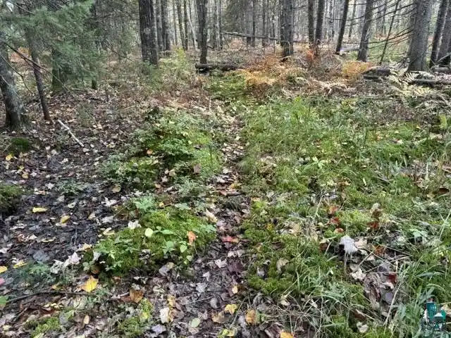 Photo 3 of Land for sale at Xxx Brule River Rd, Brule, WI 54820 | MLS# 6128368 | Listing updated on 2026-10-07