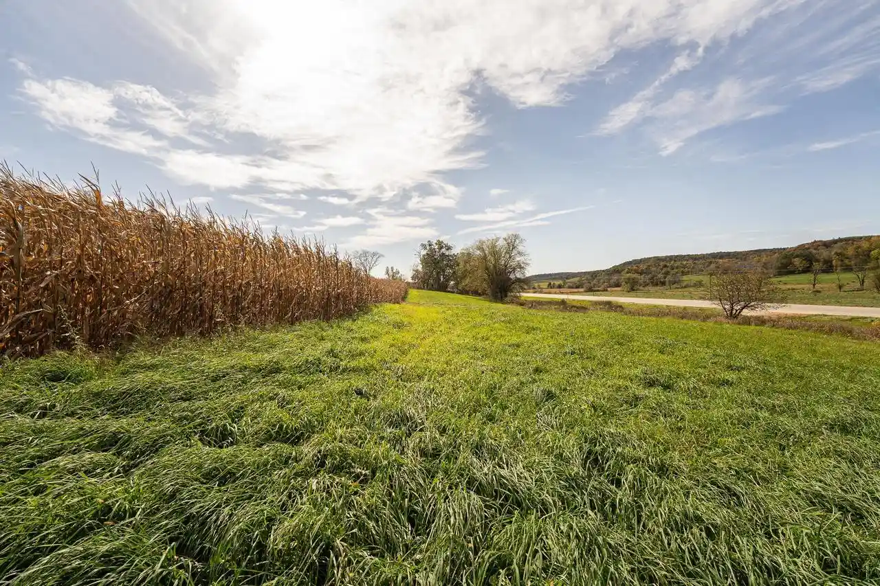 Photo 1 of Land for sale at 3406 Acres Hwy 131, Wilton, WI 54670 | MLS# 2034187 | Listing updated on 2026-10-07