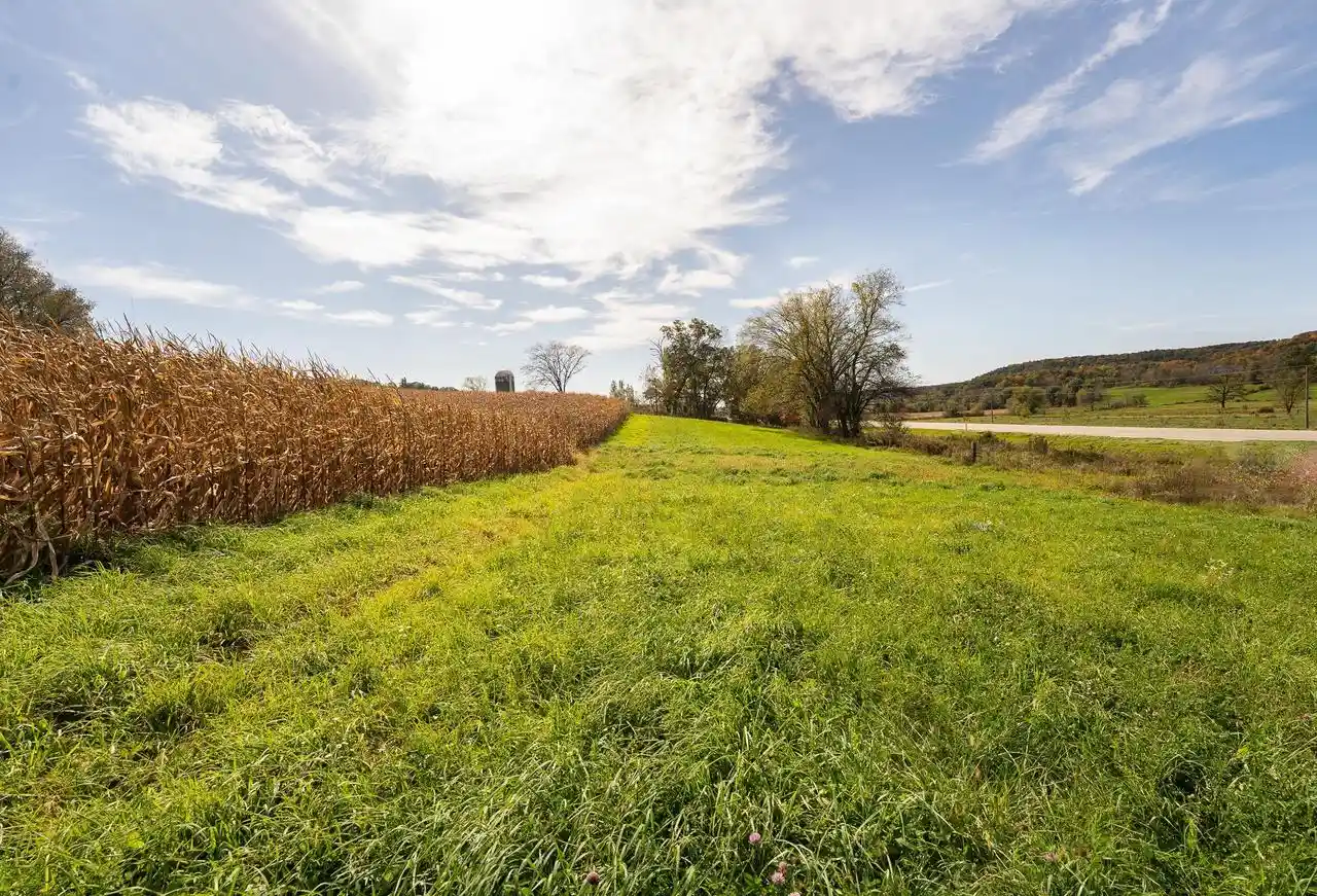 Photo 3 of Land for sale at 3406 Acres Hwy 131, Wilton, WI 54670 | MLS# 2034187 | Listing updated on 2026-10-07
