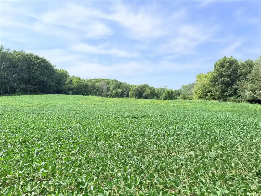 Photo 1 of Land for sale at Lot 2   10 Acres 230th St, Saint Croix Falls, WI 54024 | MLS# 1605796 | Listing updated on 2026-10-07