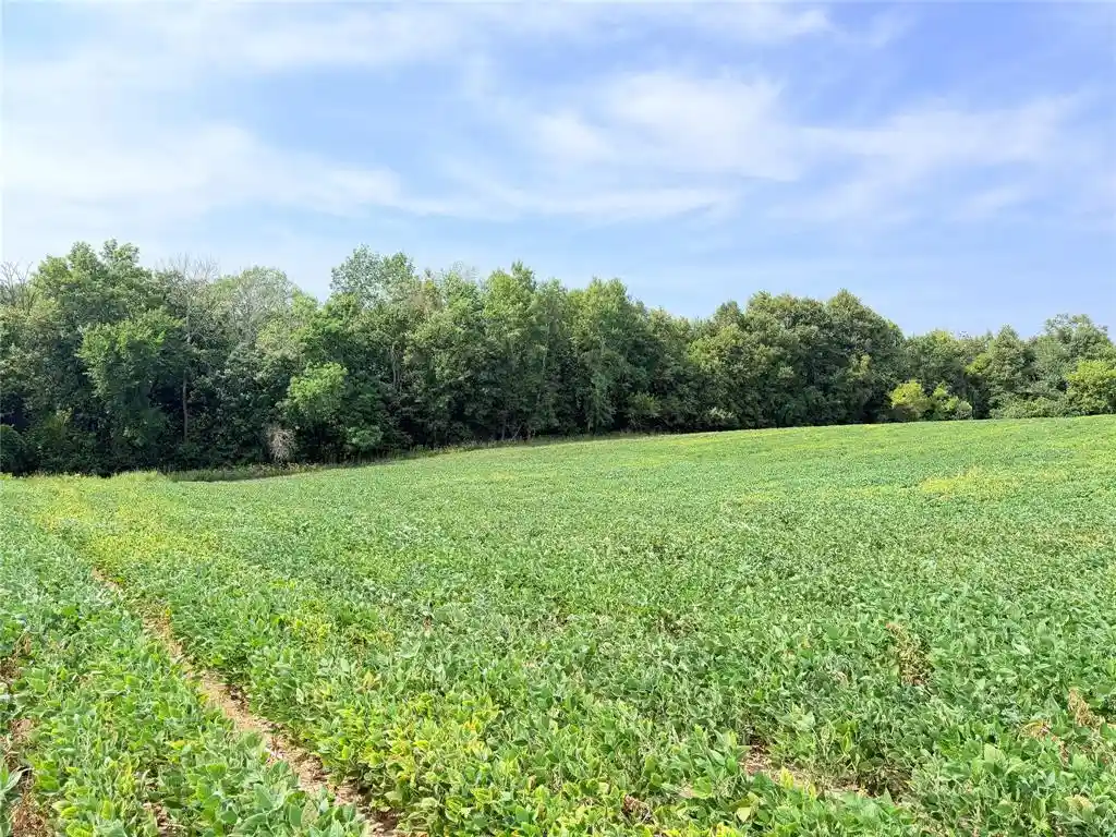 Photo 1 of Land for sale at 10 Acres Lot 3 230th St, Saint Croix Falls, WI 54024 | MLS# 1605794 | Listing updated on 2026-10-07
