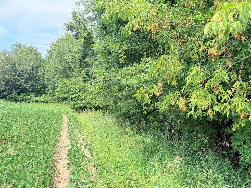 Photo 3 of Land for sale at 10 Acres Lot 3 230th St, Saint Croix Falls, WI 54024 | MLS# 1605794 | Listing updated on 2026-10-07