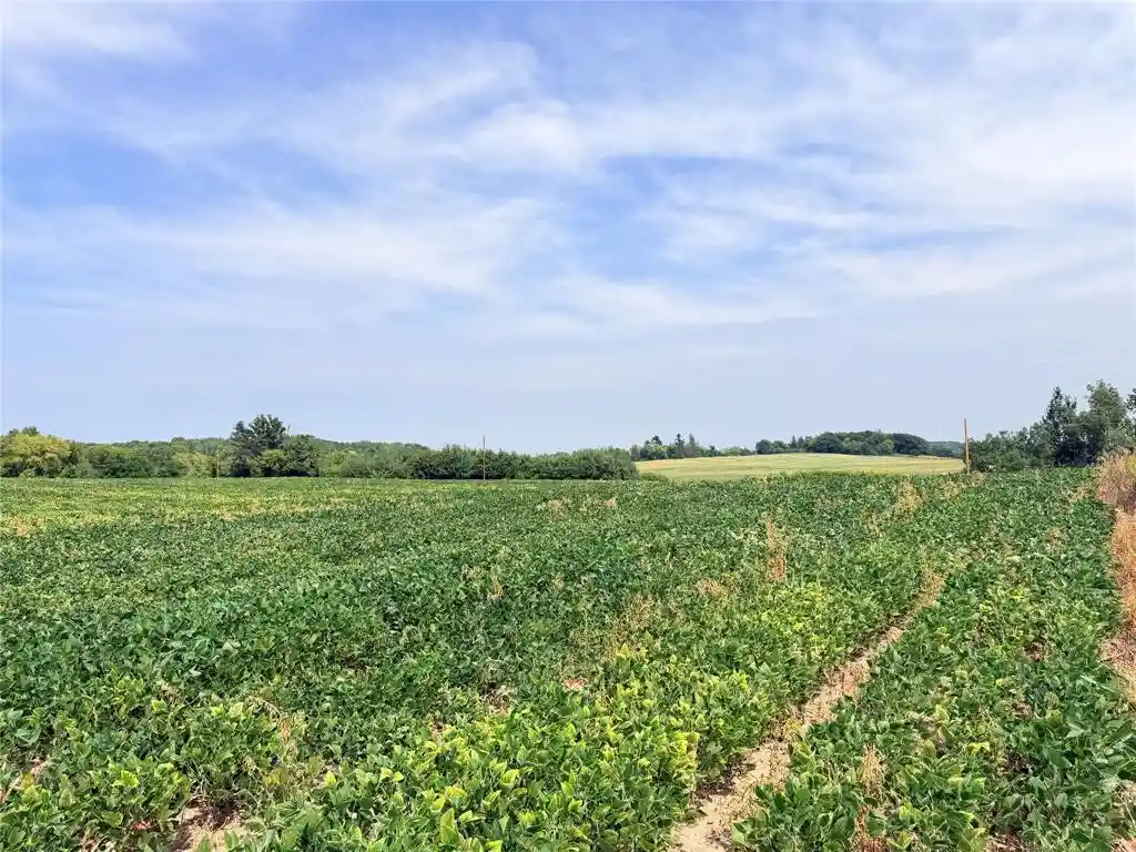 Photo 3 of Land for sale at 10 Acres Lot 3 230th St, Saint Croix Falls, WI 54024 | MLS# 1605794 | Listing updated on 2026-10-07