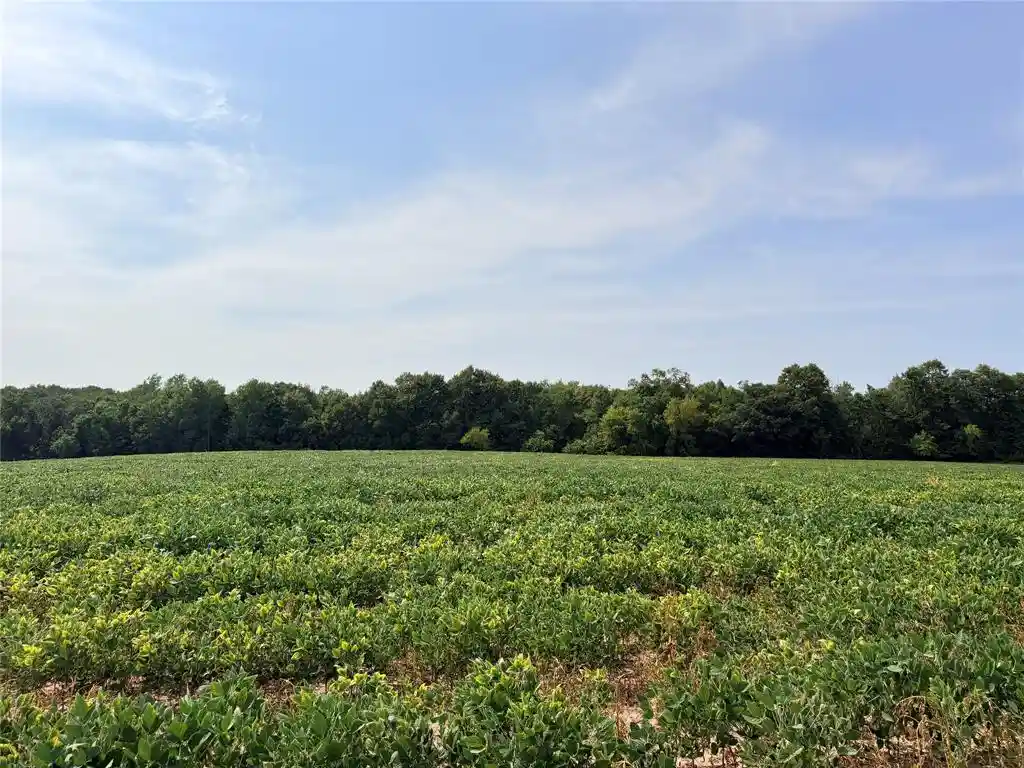 Photo 4 of Land for sale at 10 Acres Lot 3 230th St, Saint Croix Falls, WI 54024 | MLS# 1605794 | Listing updated on 2026-10-07