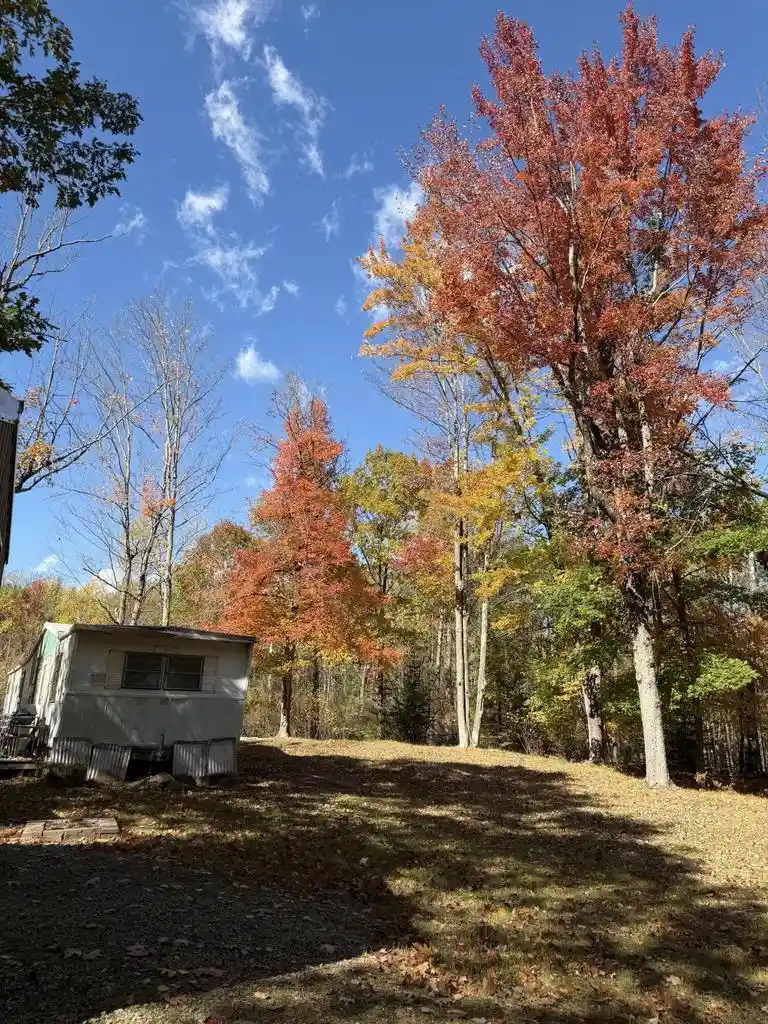 Photo 2 of Land for sale at W6681 Amberg Wausaukee Rd, Wausaukee, WI 54177 | MLS# 1983754 | Listing updated on 2026-10-07