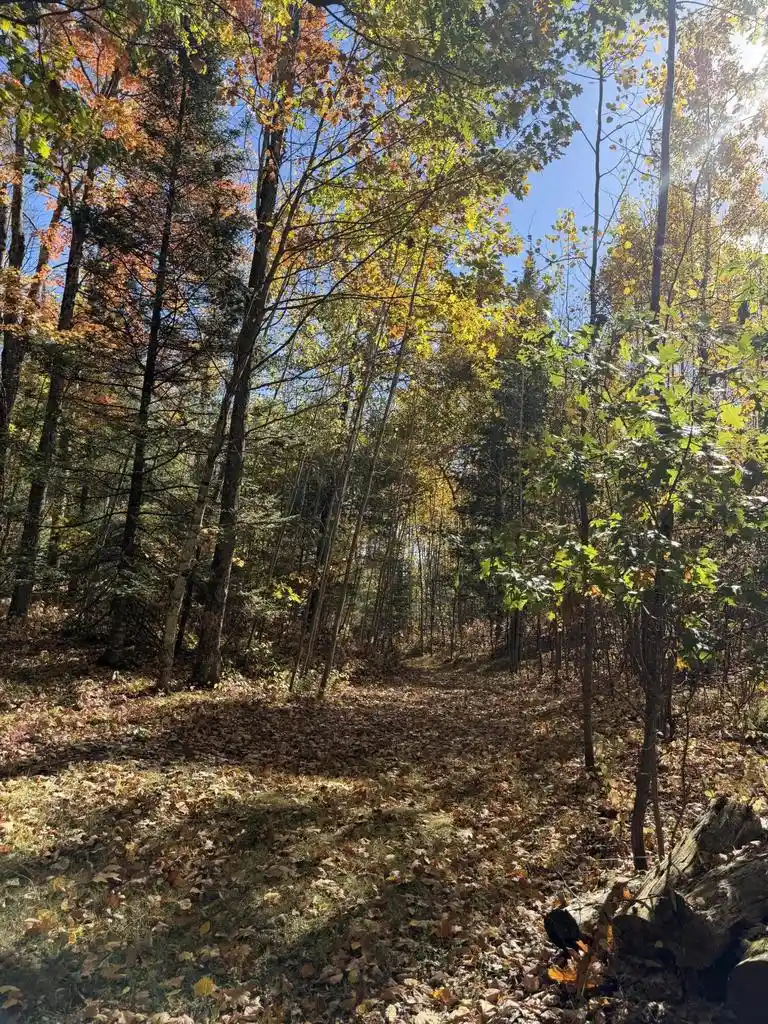 Photo 4 of Land for sale at W6681 Amberg Wausaukee Rd, Wausaukee, WI 54177 | MLS# 1983754 | Listing updated on 2026-10-07