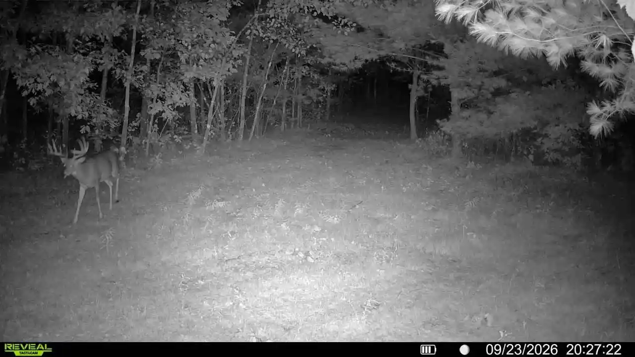 Photo 2 of Land for sale at 943 13th Avenue, Arkdale, WI 54613 | MLS# 2034234 | Listing updated on 2026-10-07