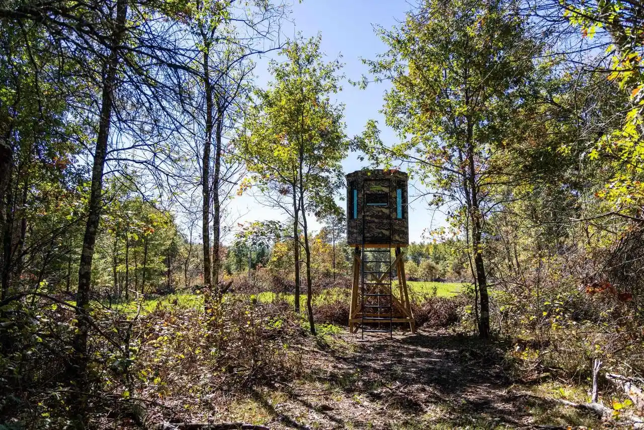 Photo 3 of Land for sale at 943 13th Avenue, Arkdale, WI 54613 | MLS# 2034234 | Listing updated on 2026-10-07