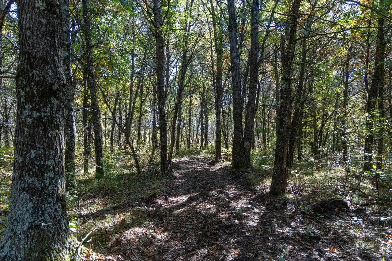Photo 4 of Land for sale at 943 13th Avenue, Arkdale, WI 54613 | MLS# 2034234 | Listing updated on 2026-10-07