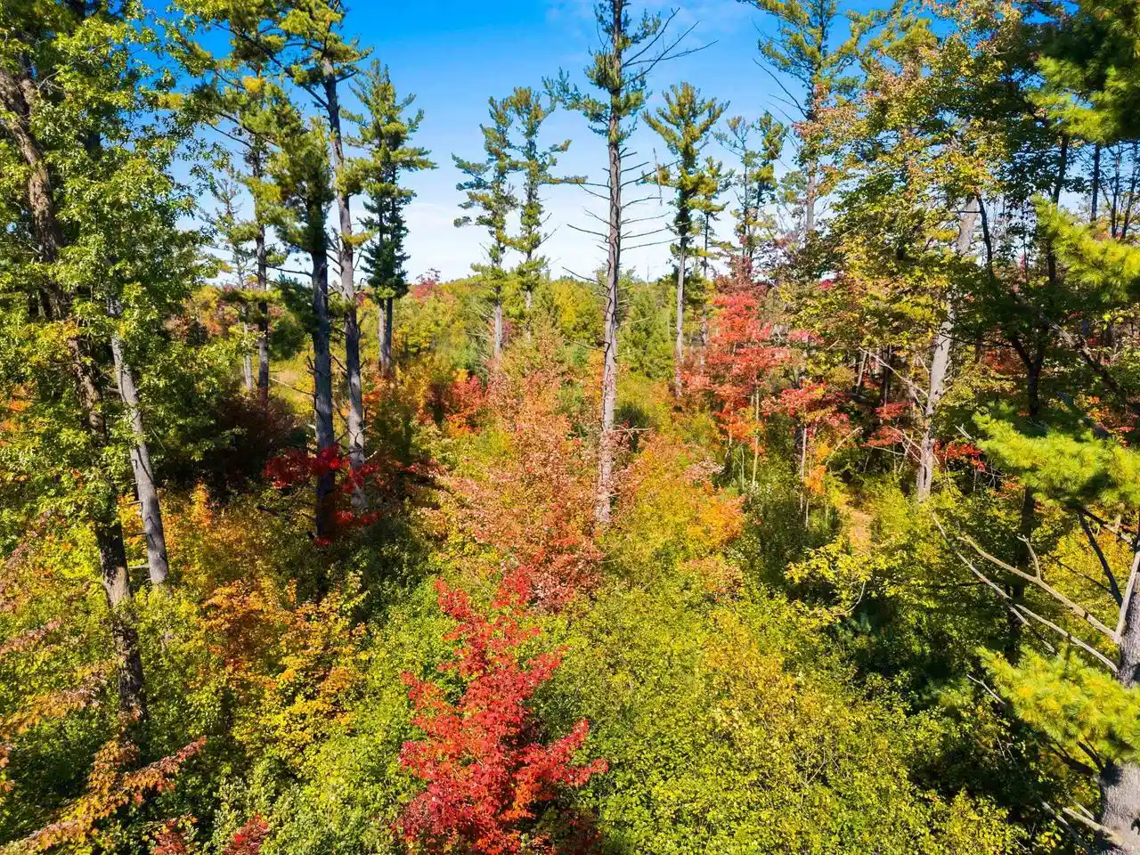 Photo 2 of Land for sale at Tadpole Ln, Oconto, WI 54153 | MLS# 50333962 | Listing updated on 2026-10-08