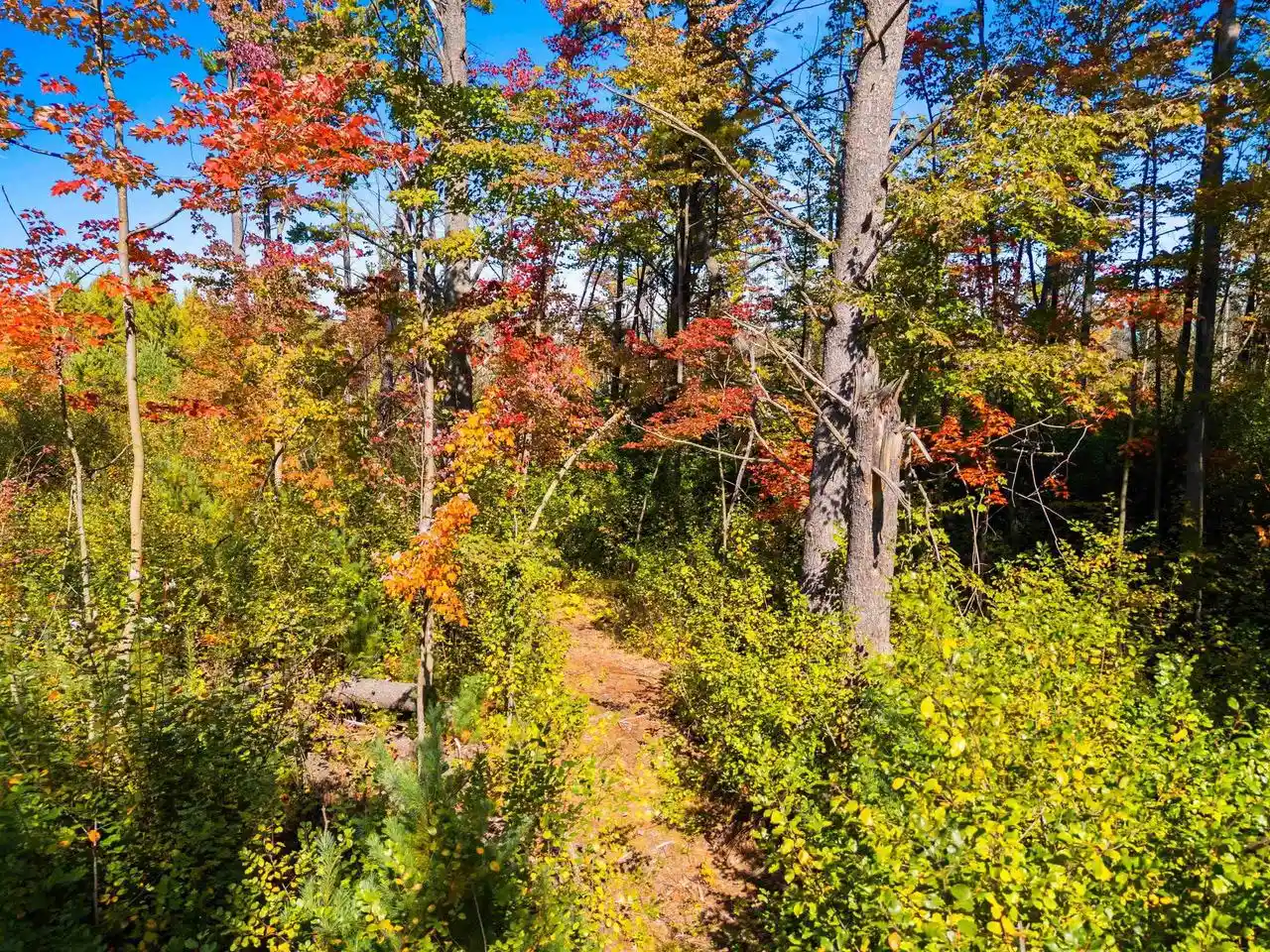 Photo 3 of Land for sale at Tadpole Ln, Oconto, WI 54153 | MLS# 50333962 | Listing updated on 2026-10-08