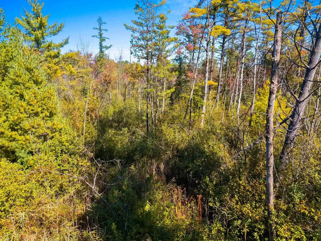 Photo 3 of Land for sale at Tadpole Ln, Oconto, WI 54153 | MLS# 50333962 | Listing updated on 2026-10-08