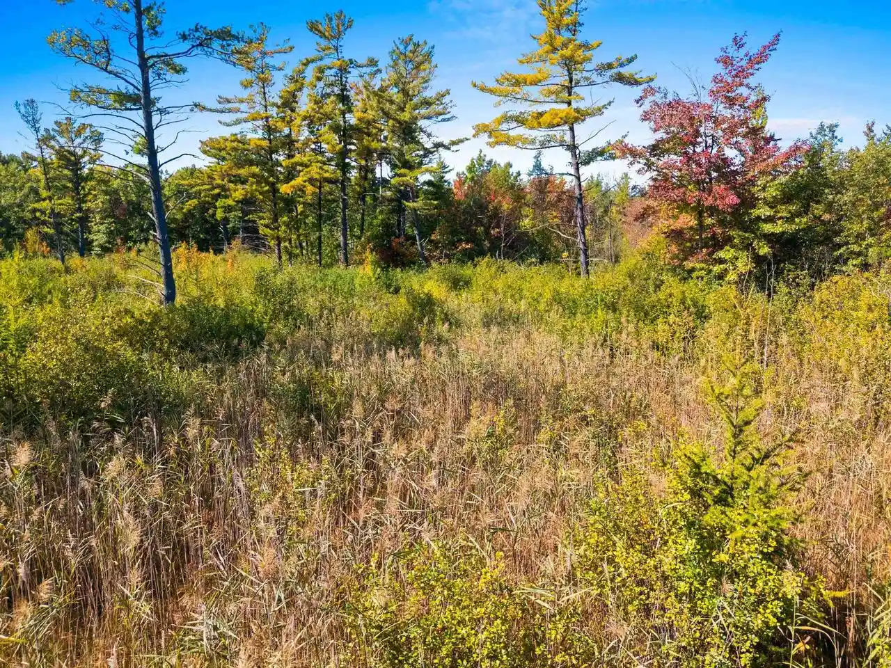 Photo 4 of Land for sale at Tadpole Ln, Oconto, WI 54153 | MLS# 50333962 | Listing updated on 2026-10-08