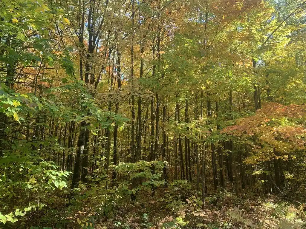 Photo 1 of Land for sale at 119 +/  A Off Forest Rd 167, Glidden, WI 54527 | MLS# 1605782 | Listing updated on 2026-10-08