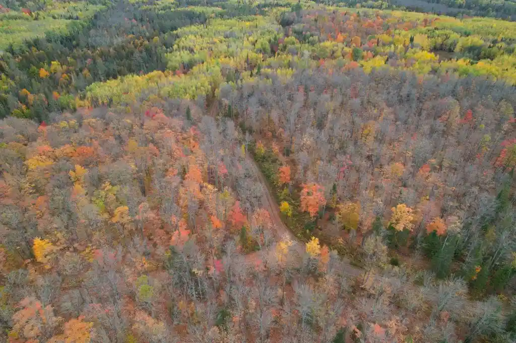 Photo 3 of Land for sale at 119 +/  A Off Forest Rd 167, Glidden, WI 54527 | MLS# 1605782 | Listing updated on 2026-10-08