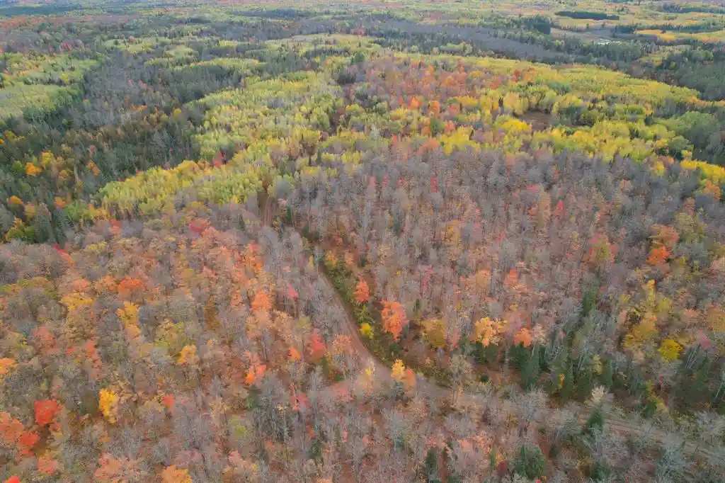 Photo 3 of Land for sale at 119 +/- A Off Forest Rd 167, Glidden, WI 54527 | MLS# 1605782 | Listing updated on 2026-10-08