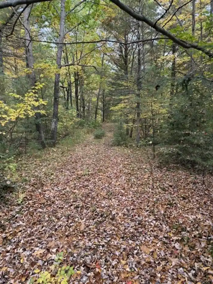 Photo 2 of Land for sale at 12466 Bedrock Ln, Suring, WI 54174 | MLS# 50334013 | Listing updated on 2026-10-08