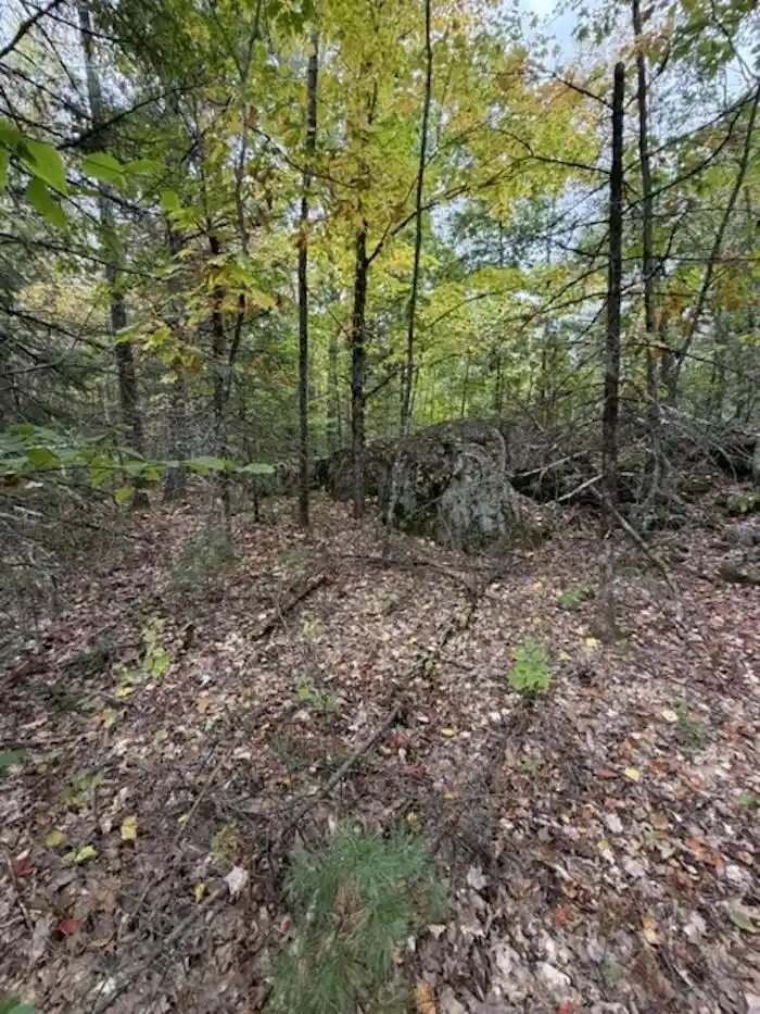 Photo 3 of Land for sale at 12466 Bedrock Ln, Suring, WI 54174 | MLS# 50334013 | Listing updated on 2026-10-08