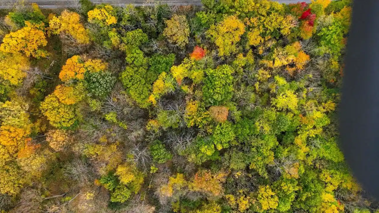 Photo 4 of Land for sale at 129241 Hillwood Rd, Edgar, WI 54426 | MLS# 22605031 | Listing updated on 2026-10-08