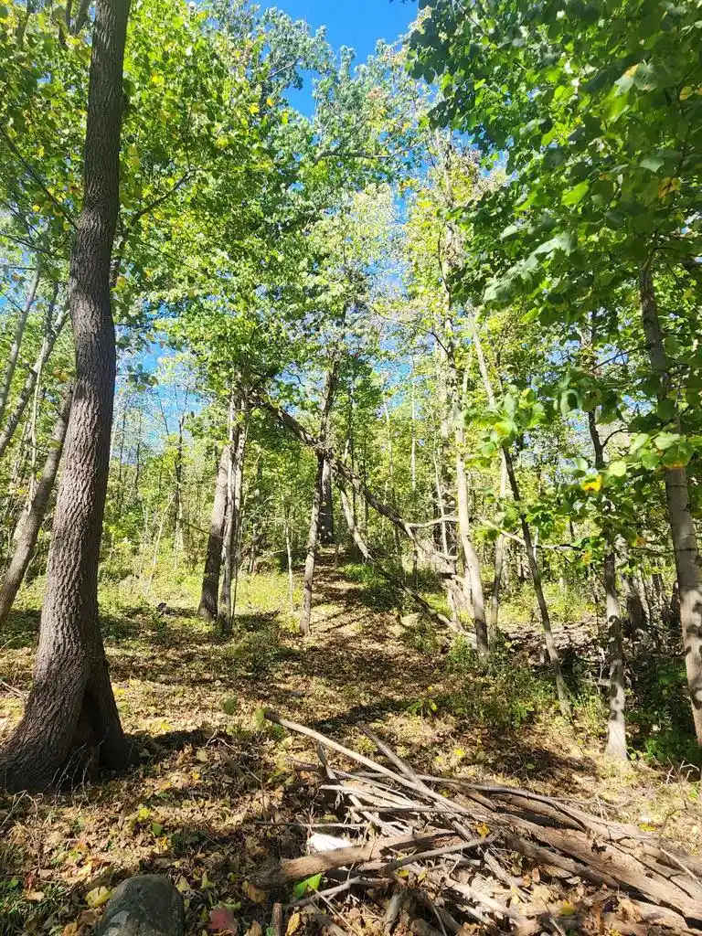 Photo 1 of Land for sale at Lot0 312th Avenue, Kansasville, WI 53139 | MLS# 1983999 | Listing updated on 2026-10-09