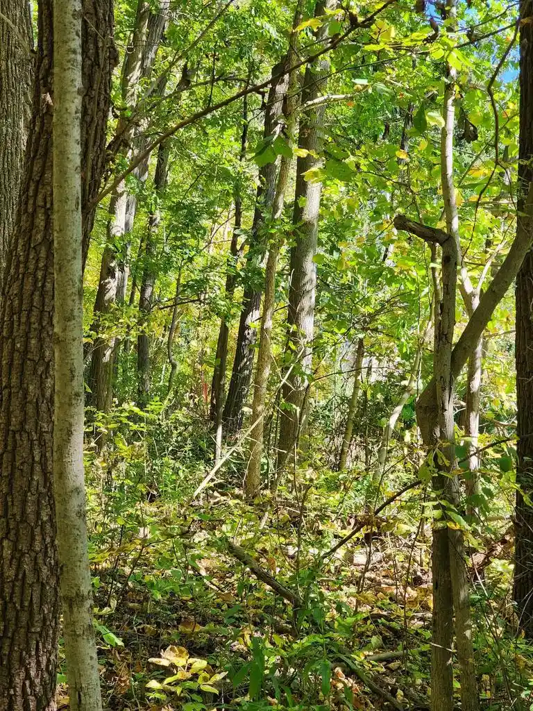 Photo 3 of Land for sale at Lot0 312th Avenue, Kansasville, WI 53139 | MLS# 1983999 | Listing updated on 2026-10-09