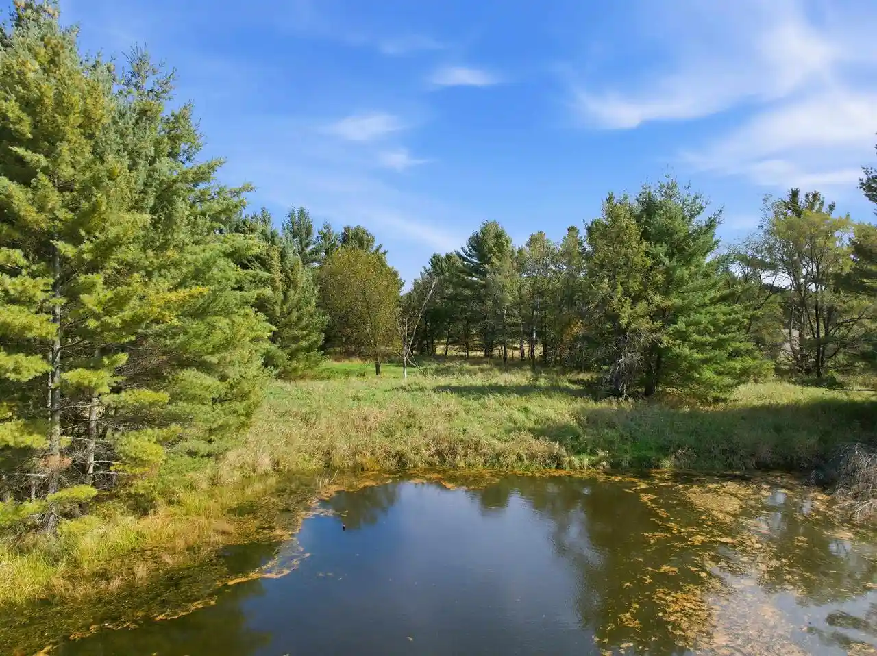 Photo 2 of Land for sale at 6058 Ac County M Rd, New Lisbon, WI 53950 | MLS# 2034304 | Listing updated on 2026-10-08