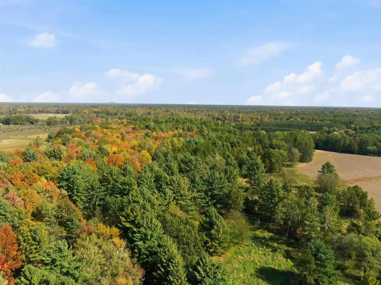 Photo 4 of Land for sale at 6058 Ac County M Rd, New Lisbon, WI 53950 | MLS# 2034304 | Listing updated on 2026-10-08