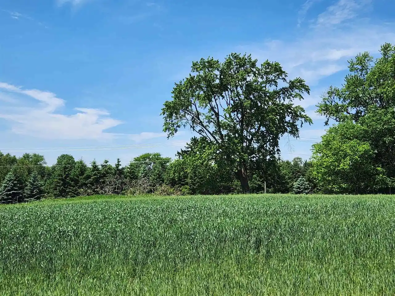 Photo 1 of Land for sale at 6615 Kyla Brooke Ln, Sun Prairie, WI 53590 | MLS# 2034327 | Listing updated on 2026-10-08