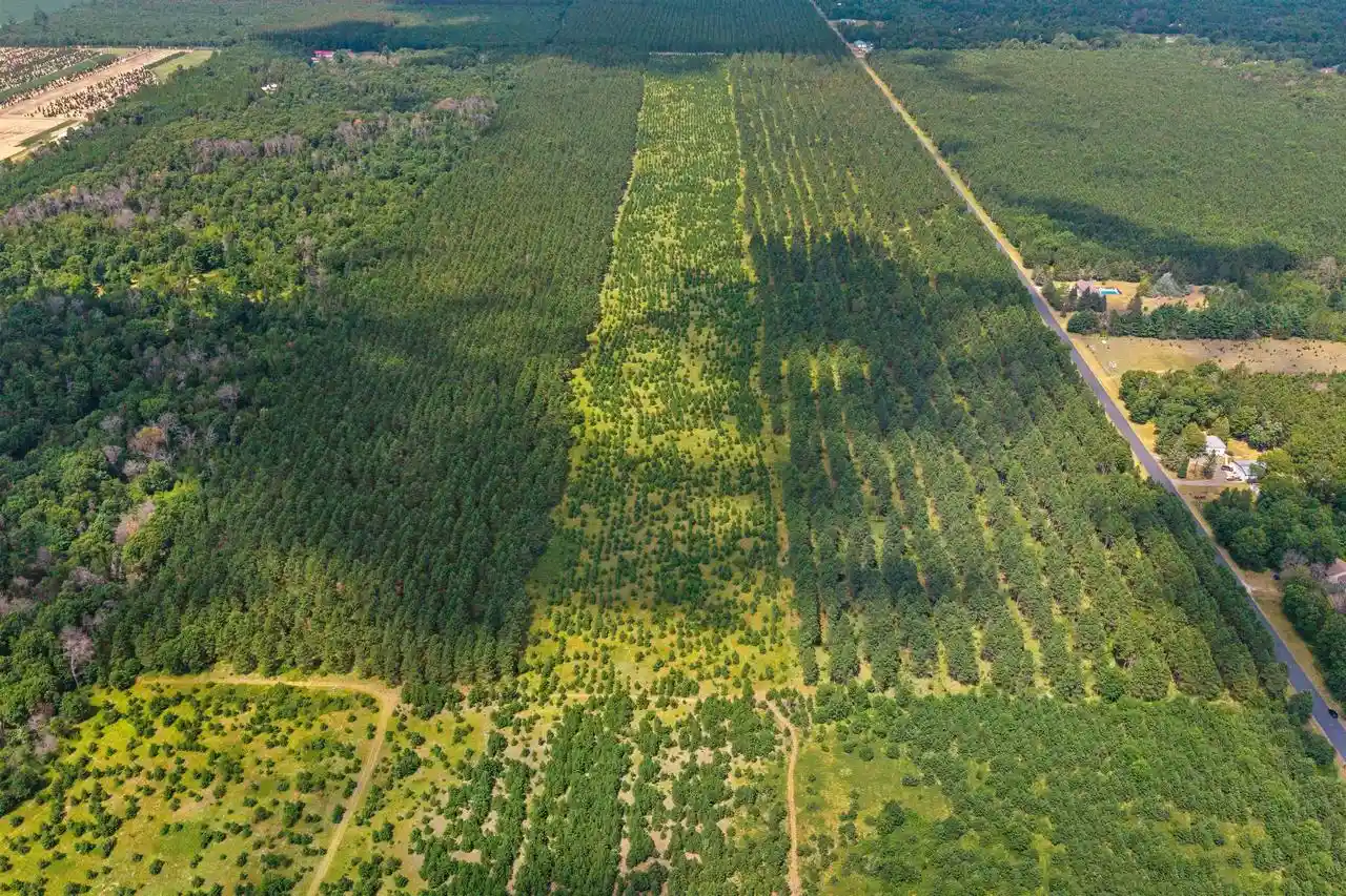 Photo 3 of Land for sale at Lot 3 10 Acres Bell Rd, Wisconsin Rapids, WI 54494 | MLS# 22605047 | Listing updated on 2026-10-08