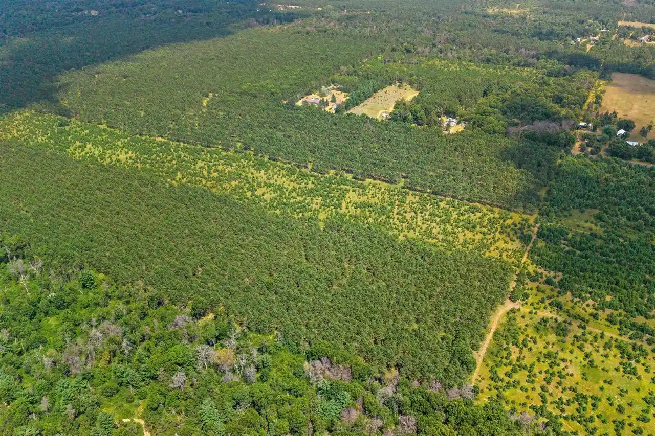 Photo 4 of Land for sale at Lot 2 10 Acres Bell Rd, Wisconsin Rapids, WI 54494 | MLS# 22605048 | Listing updated on 2026-10-08