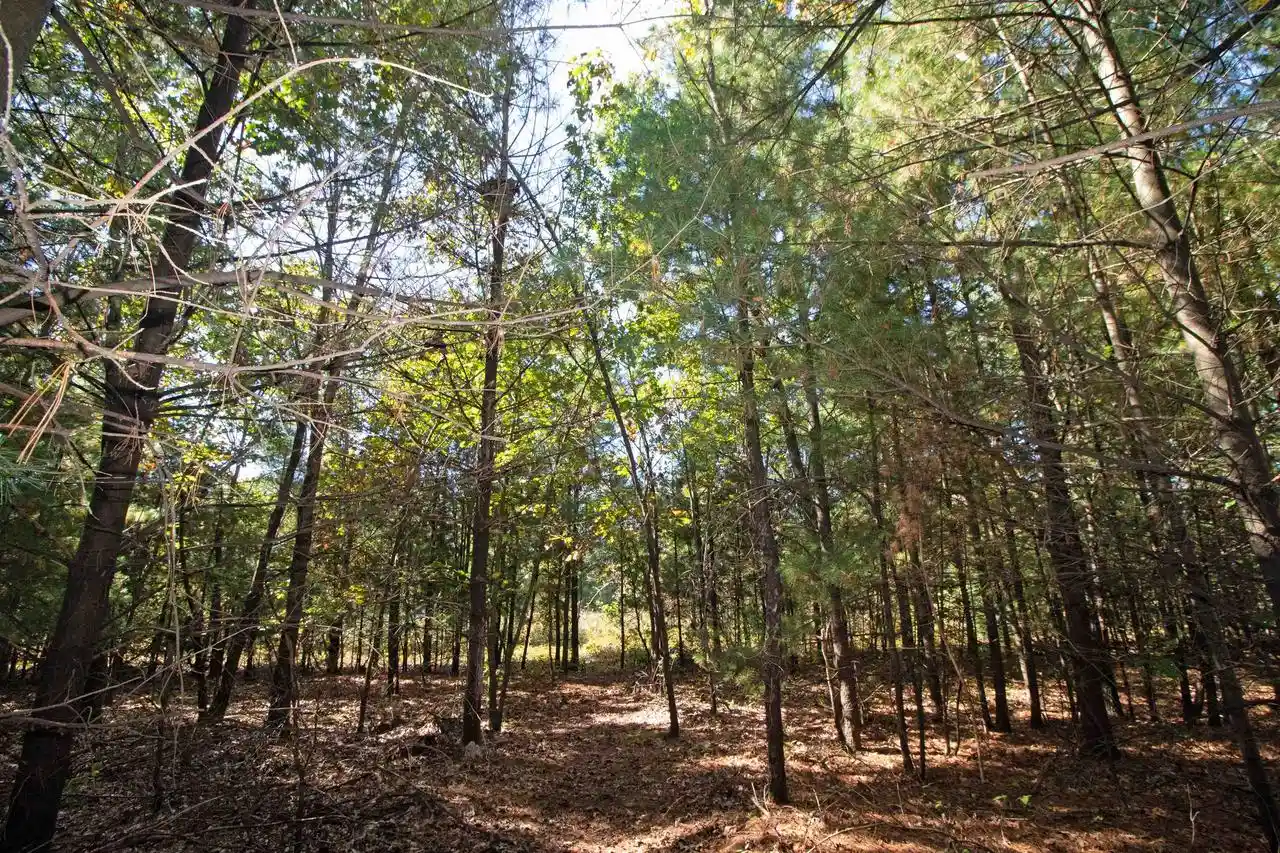 Photo 3 of Land for sale at Lot 1 White Pine, Spring Green, WI 53588 | MLS# 2034336 | Listing updated on 2026-10-09