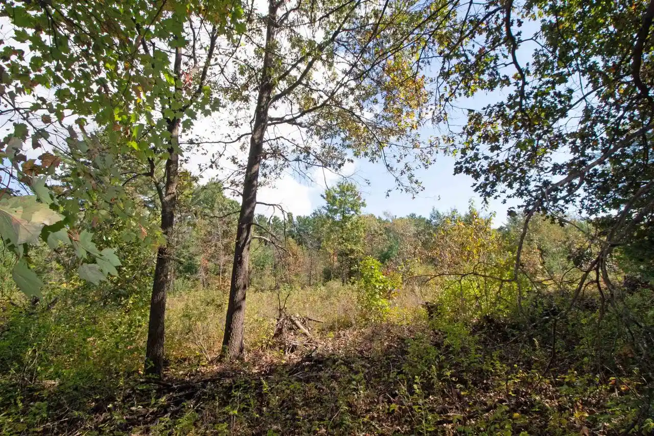 Photo 4 of Land for sale at Lot 1 White Pine, Spring Green, WI 53588 | MLS# 2034336 | Listing updated on 2026-10-09
