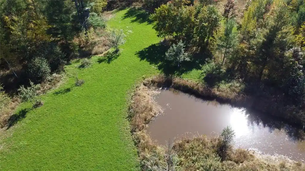 Land for sale at Ooo Sparks Rd, Pittsville, WI 54466 | MLS# 1605781