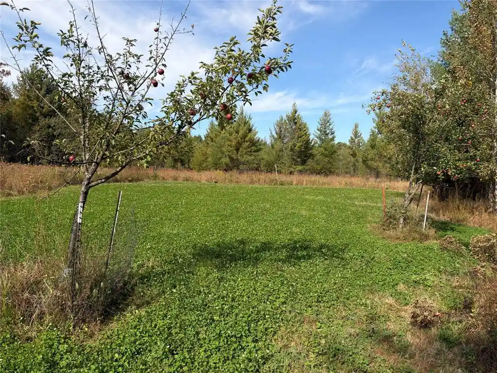 Photo 1 of Land for sale at Ooo Sparks Rd, Pittsville, WI 54466 | MLS# 1605781 | Listing updated on 2026-10-09