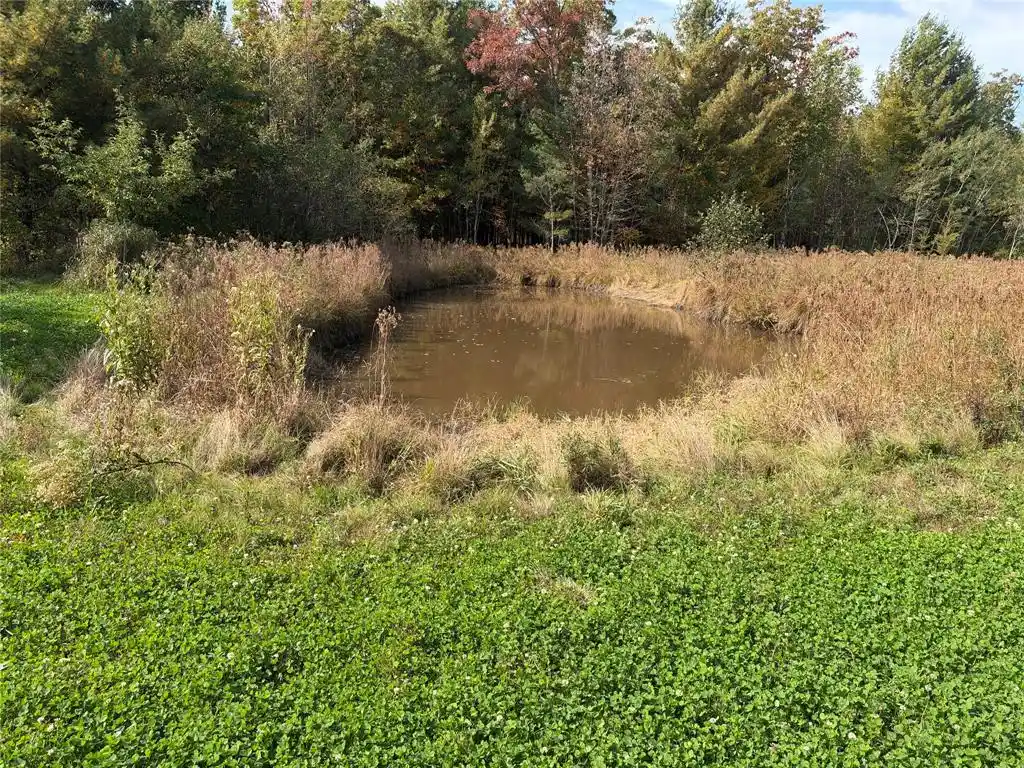 Photo 2 of Land for sale at Ooo Sparks Rd, Pittsville, WI 54466 | MLS# 1605781 | Listing updated on 2026-10-09
