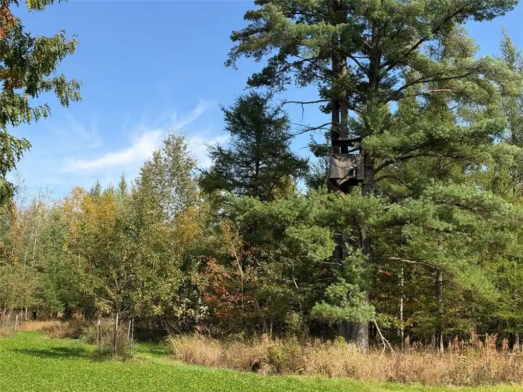 Photo 4 of Land for sale at Ooo Sparks Rd, Pittsville, WI 54466 | MLS# 1605781 | Listing updated on 2026-10-09