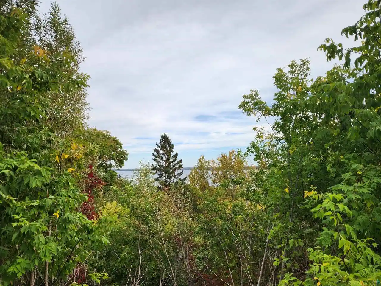Photo 2 of Land for sale at Xxxx Lynde Ave, Bayfield, WI 54814 | MLS# 6128407 | Listing updated on 2026-10-25