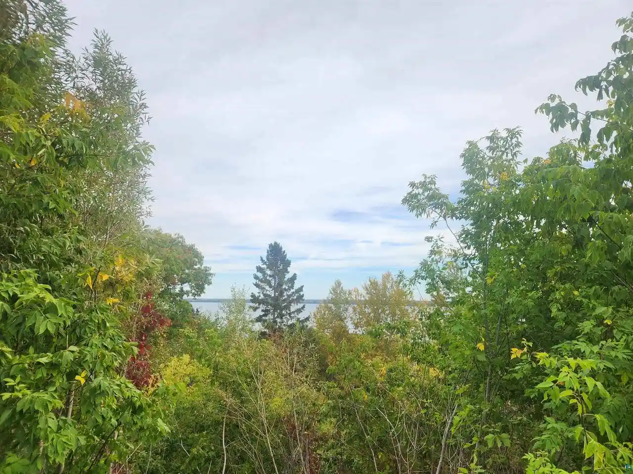 Photo 3 of Land for sale at Xxxx Lynde Ave, Bayfield, WI 54814 | MLS# 6128407 | Listing updated on 2026-10-25