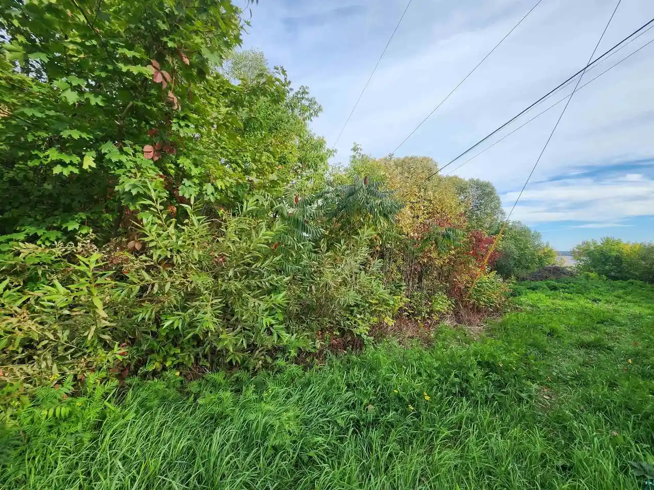 Photo 4 of Land for sale at Xxxx Lynde Ave, Bayfield, WI 54814 | MLS# 6128407 | Listing updated on 2026-10-25