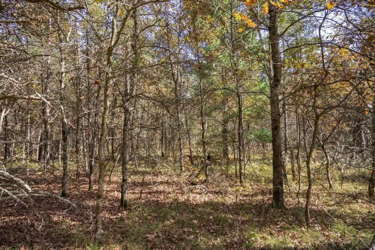 Photo 2 of Land for sale at Lot 31 Morros Mile Rd, Necedah, WI 54646 | MLS# 2034359 | Listing updated on 2026-10-12