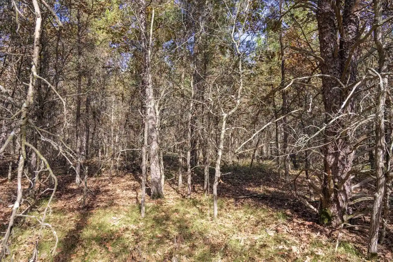 Photo 3 of Land for sale at Lot 31 Morros Mile Rd, Necedah, WI 54646 | MLS# 2034359 | Listing updated on 2026-10-12