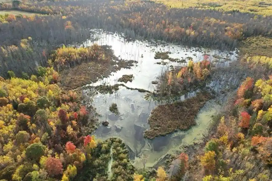 Photo 2 of Land for sale at 00 Highway 77, Minong, WI 54859 | MLS# 1605862 | Listing updated on 2026-10-09