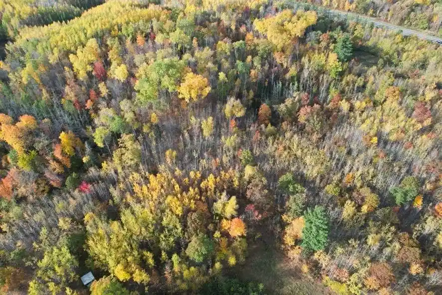Photo 3 of Land for sale at 00 Highway 77, Minong, WI 54859 | MLS# 1605862 | Listing updated on 2026-10-09