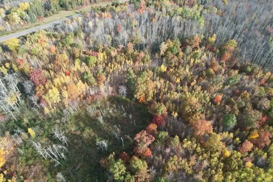 Photo 4 of Land for sale at 00 Highway 77, Minong, WI 54859 | MLS# 1605862 | Listing updated on 2026-10-09